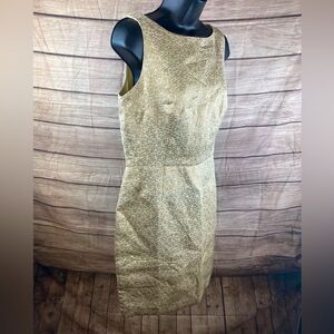 Ladies
size 10 sleeveless dress by American Living NWOT